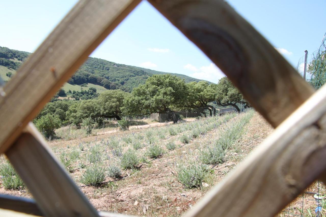 La Puntaccina Βίλα Aglientu Εξωτερικό φωτογραφία